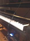 yamahaU1_silent
